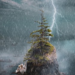 Sheltering from the storm